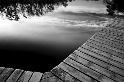 Wood, Water and Sky