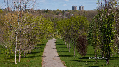 Down the Arboretum Path