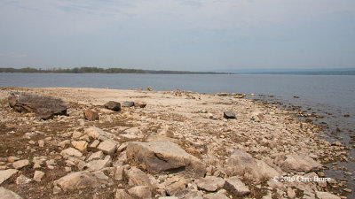 Shirley's Bay Shoreline