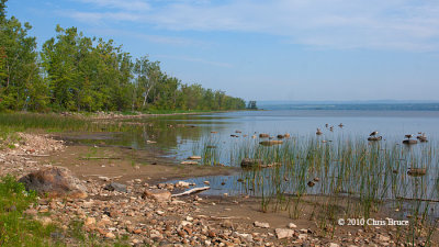 The Dike: The Best Birding Spot