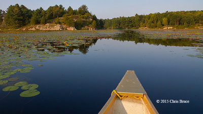 Canoeing the Rideau Lakes