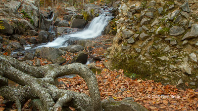 Thomas Carbide Wilson Ruins