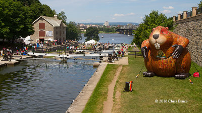 Ottawa Locks & The Giant Beaver