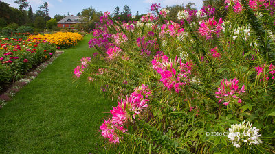 Ornamental Gardens