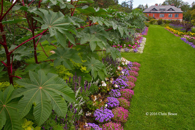 Ornamental Gardens