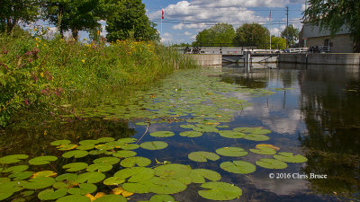 Merrickville Locks