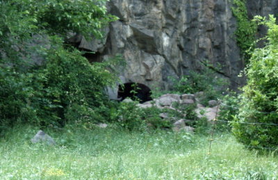 g9/02/954002/3/155912845.gfMBPejA.jpg