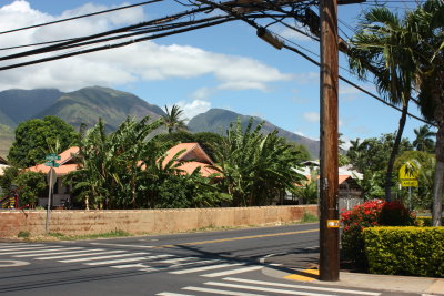 Hawaii_Lahaina_0006.jpg
