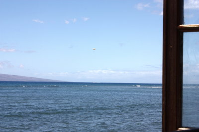 Hawaii_Lahaina_0014.jpg