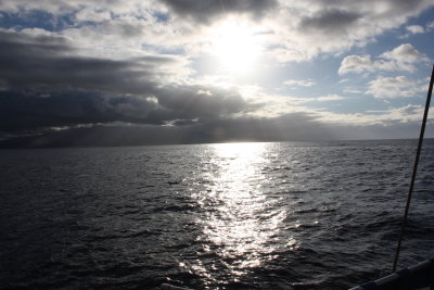 Hawaii_Trilogy_0022.jpg