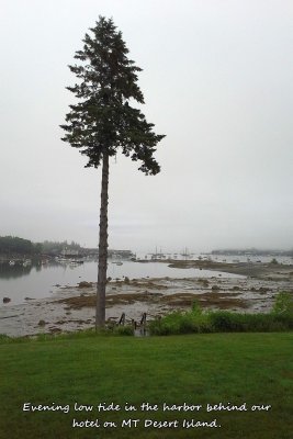 020 Low tide from hotel on Mount Desert Isl ME 061615 20150616_190216.jpg