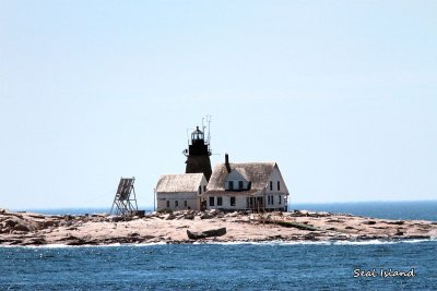 072 Sea Lion Island ME 061815 IMG_1858.jpg