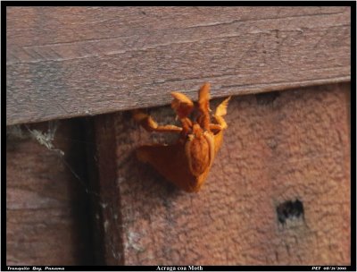 Seven Days as a boat-person in Tranquilo Bay Panama 10/16