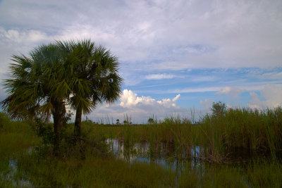 Big Cypress NWR