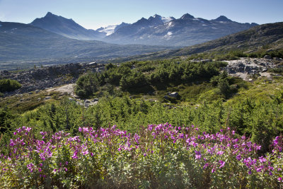ak3_0029.jpg