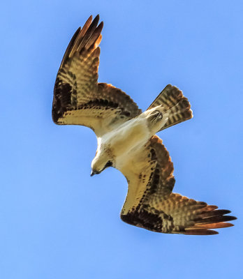 MB_16223.jpg