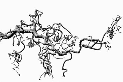 Twisted Tree
