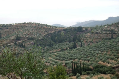 Hills aound Mycenae