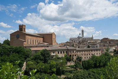 Basilica & Duomo