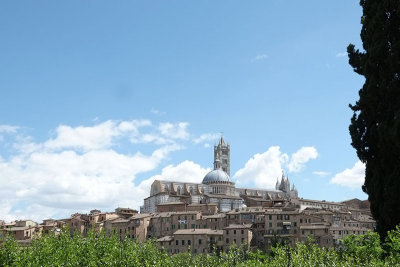 Distant view of the Cathedral