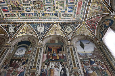 Frescoes and ceiling