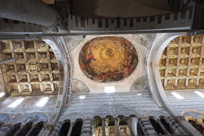 Cupola and roof panels