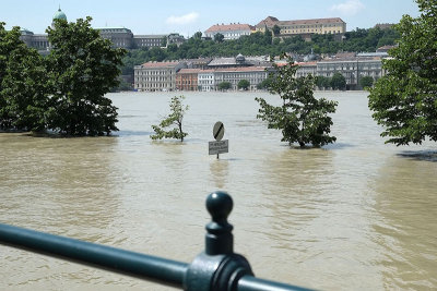 Danube flood