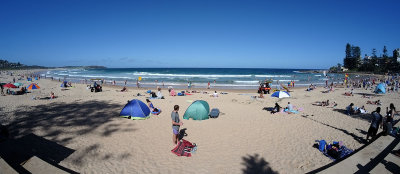Dee Why beach panorama