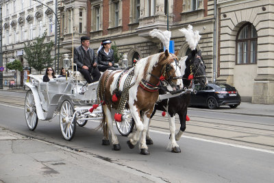 Sightseeing in horse drawn carriage