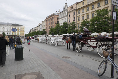Horse-drawn carriages