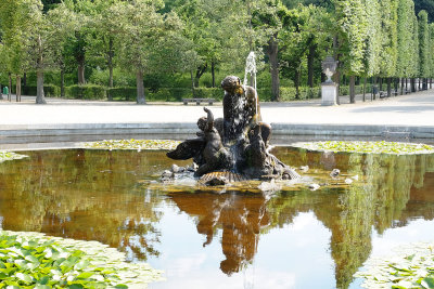 Star Pool