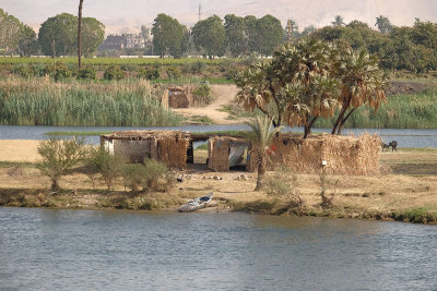 Housing along the Nile
