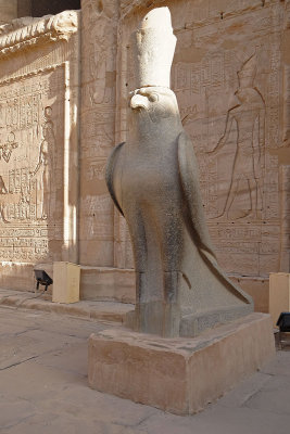 Horus at the entrance to the large courtyard