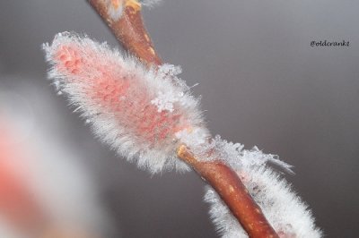 Winter2014