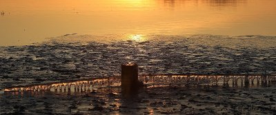 IMG_8310pbicesunsetbarbwire.JPG