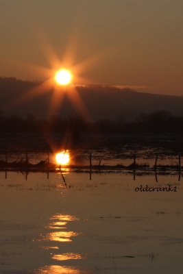 IMG_9304Gwynne2starsunrise.JPG