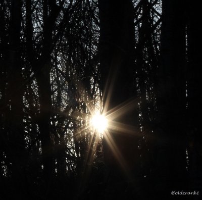 IMG_9683pbstarsunset.JPG