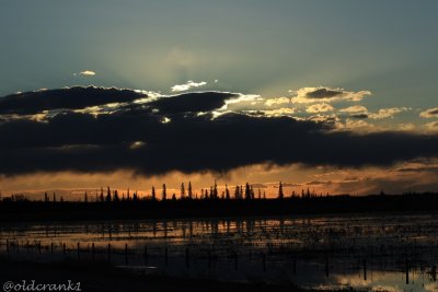 IMG_8413pbsunset.JPG