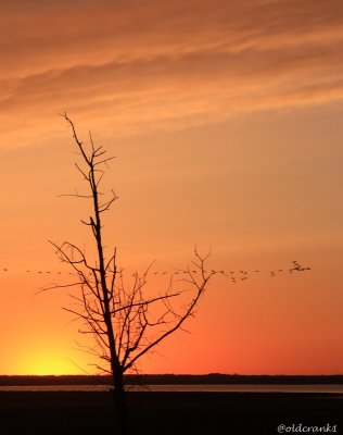 IMG_0211pbbitternlakesunset.JPG