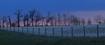 IMG_7559mpbase.JPG
