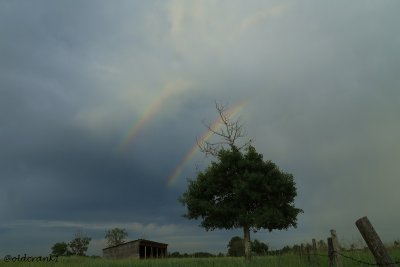 IMG_4178pb bendza rainbows.JPG