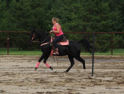 IMG_4372 gymkhana.JPG