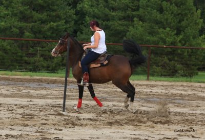 IMG_4374 gymkhana.JPG