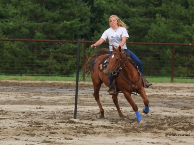 IMG_4380 gymkhana.JPG