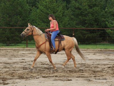 IMG_4407 gymkhana.JPG
