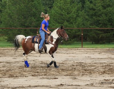 IMG_4426 gymkhana.JPG