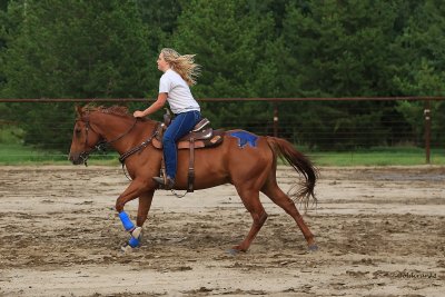 IMG_4452 gymkhana.JPG