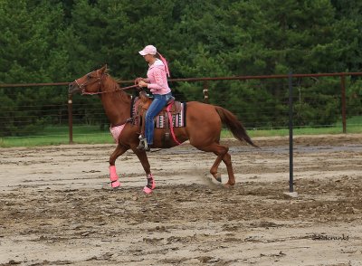 IMG_4463 gymkhana.JPG