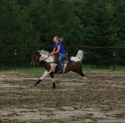 Fun with horses