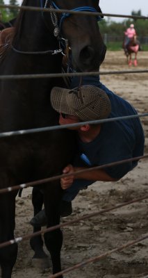 IMG_4500 gymkhana.JPG